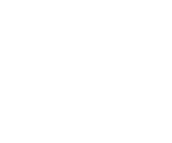 logo light